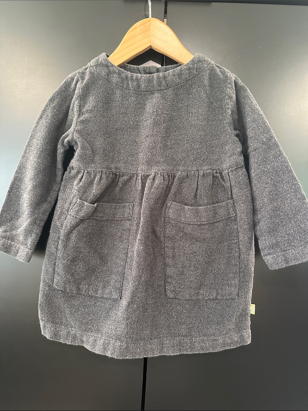 Nui Organics Cozy Gray Long Sleeve Pocket Dress